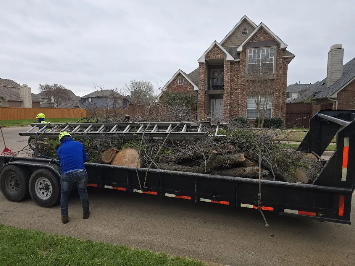 Expert Tree Fertilization with proper safety equipment in Edinburg
